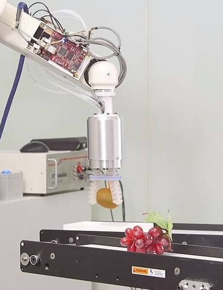 Collaborative Food Handling Robot with Mini-Mover Lite Series Conveyor
